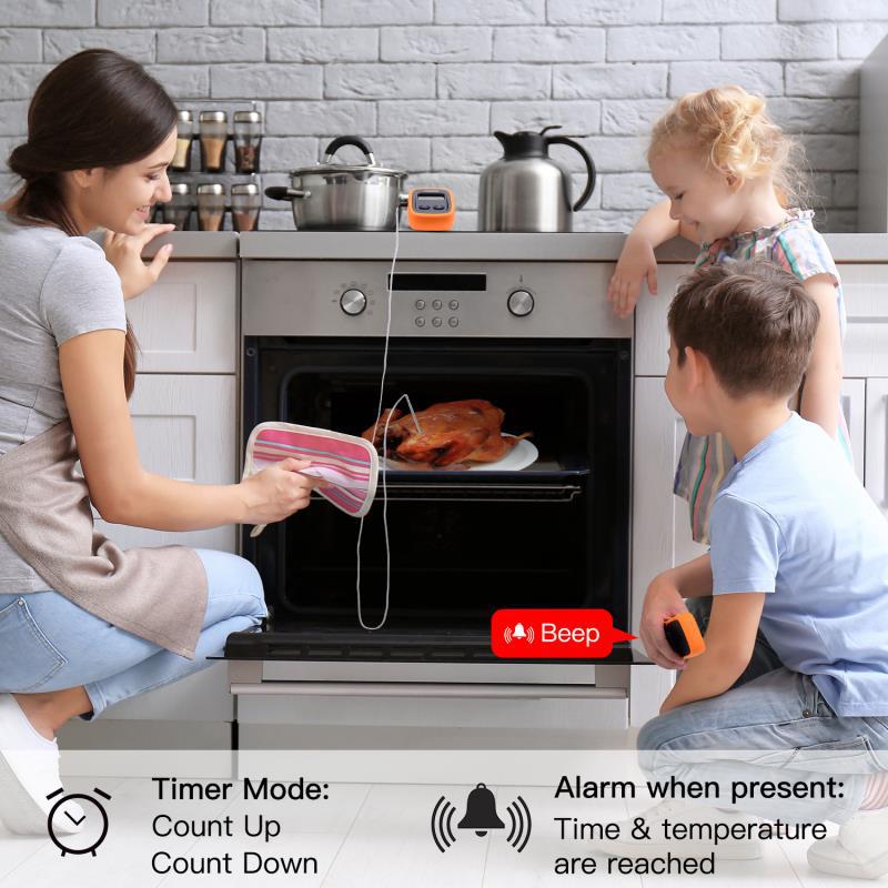 Neues kabelloses digitales Leb – Meat Thermometer Camp Bewertung und Preis